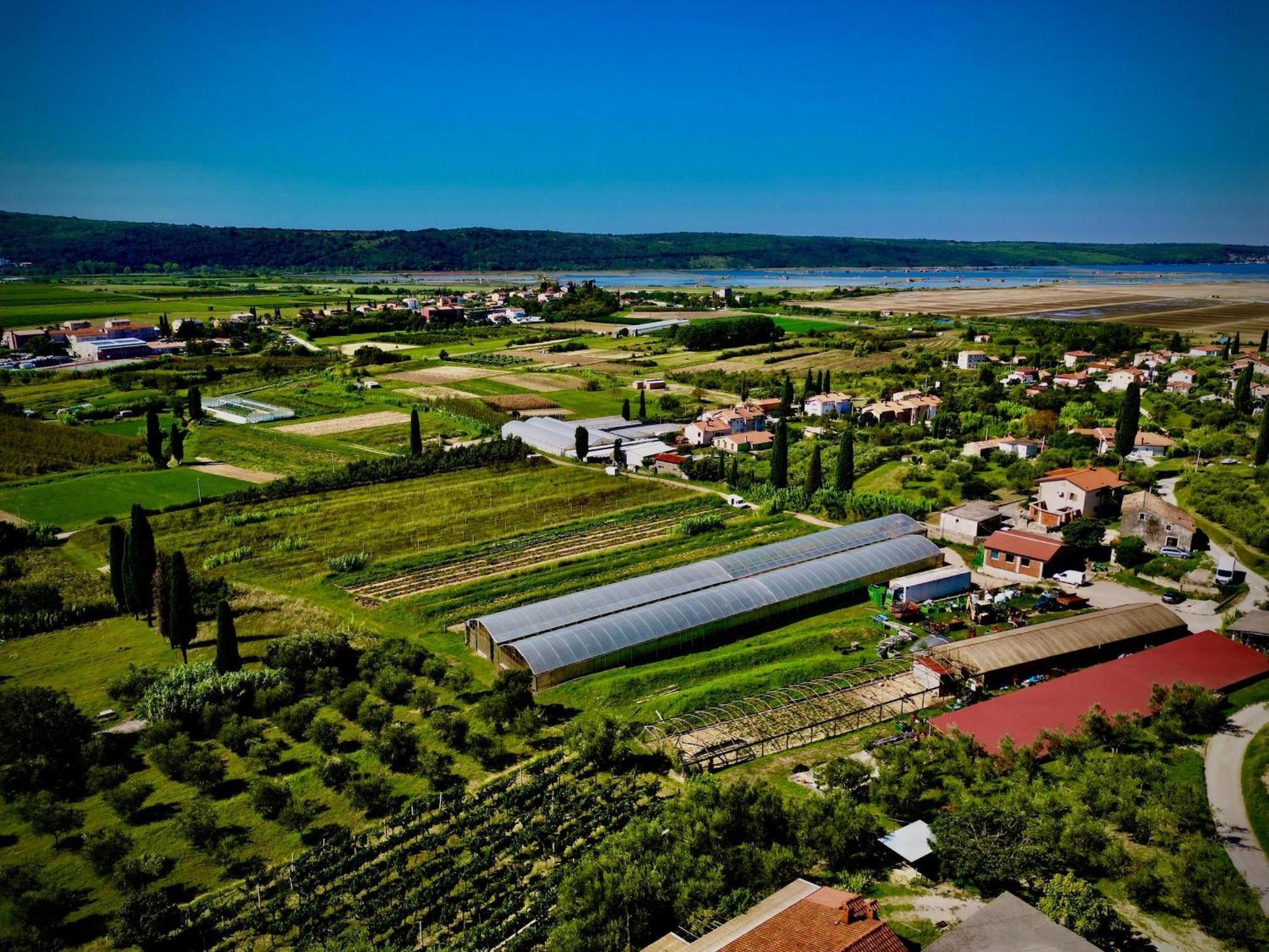 Villa Vila Porto Olive Sečovlje Exterior foto